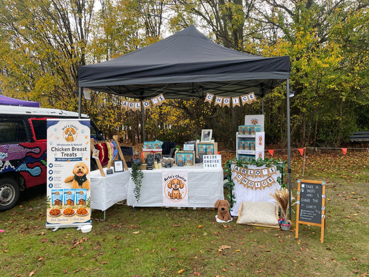 Million Paws Walk Canberra
